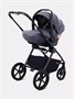 Автокресло Rant Carry Pro (40-87 см) Graphite 1364146267