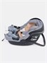 Автокресло Rant Carry 2.0 (40-87 см) Grey 33773302