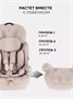 Автокресло Rant Basic Spark Next группа 1/2/3 (9-36 кг) Beige 843786541