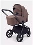 Коляска 2 в 1 Rant Flex Forma Beige 1648316903