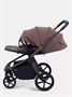 Коляска 2 в 1 Rant Flex Forma Beige 1648316903