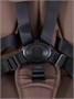 Коляска 2 в 1 Rant Flex Forma Beige 1648316903