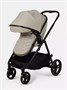 Коляска для двойни 2 в 1 Rant Basic Dualo Beige 2094444632