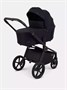Коляска 2 в 1 Rant Flex Soft Therm Gold black 1162183739