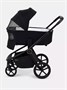 Коляска 2 в 1 Rant Flex Soft Therm Gold black 1162183739