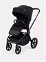 Коляска 2 в 1 Rant Flex Soft Therm Gold black 1162183739