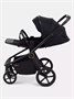 Коляска 2 в 1 Rant Flex Soft Therm Gold black 1162183739