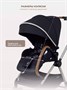 Коляска 2 в 1 Rant Moss Prime Black 242465150