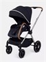 Коляска 2 в 1 Rant Moss Prime Black 242465150