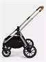 Коляска 2 в 1 Rant Moss Prime Black 242465150