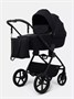 Коляска 2 в 1 Rant Teo Soft Black 789036931
