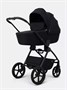 Коляска 2 в 1 Rant Teo Soft Black 789036931