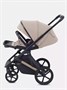 Коляска 2 в 1 Rant Garda Cacao 1563013068