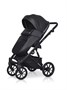 Коляска 2 в 1 Riko Basic Delta Ecco 15 black 956735990