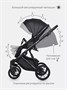 Коляска 2 в 1 Riko Basic Delta Ecco 15 black 956735990