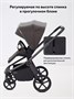 Коляска 2 в 1 Rant Flex Soft Therm Shine brown 754181704