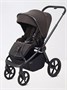 Коляска 2 в 1 Rant Flex Soft Therm Shine brown 754181704