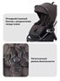 Коляска 2 в 1 Rant Flex Soft Therm Shine brown 754181704