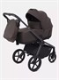 Коляска 2 в 1 Rant Flex Soft Therm Shine brown 754181704