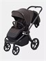 Коляска 2 в 1 Rant Flex Soft Therm Shine brown 754181704