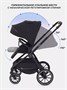 Коляска 2 в 1 Rant Moss Midnight black 909735405