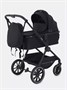 Коляска 2 в 1 Rant Moss Midnight black 909735405