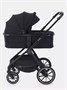 Коляска 2 в 1 Rant Moss Midnight black 909735405