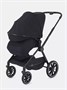 Коляска 2 в 1 Rant Moss Midnight black 909735405