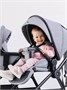 Коляска 2 в 1 Rant Moss Classic grey 1235346368