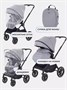 Коляска 2 в 1 Rant Moss Classic grey 1235346368