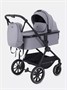 Коляска 2 в 1 Rant Moss Classic grey 1235346368