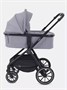 Коляска 2 в 1 Rant Moss Classic grey 1235346368