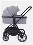 Коляска 2 в 1 Rant Moss Classic grey 1235346368