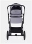 Коляска 2 в 1 Rant Moss Classic grey 1235346368