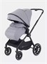 Коляска 2 в 1 Rant Moss Classic grey 1235346368