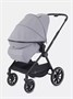 Коляска 2 в 1 Rant Moss Classic grey 1235346368