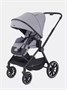Коляска 2 в 1 Rant Moss Classic grey 1235346368