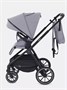 Коляска 2 в 1 Rant Moss Classic grey 1235346368