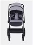 Коляска 2 в 1 Rant Moss Classic grey 1235346368