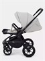 Коляска 2 в 1 Rant Flex 2025 RA076 Stone 977223396