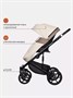 Коляска 2 в 1 Riko Basic Ozon Ecco 25 слоновая кость-бежевый 1199726503