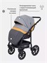Коляска 2 в 1 Rant Patio Grey/yellow 1270977444