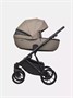 Коляска 2 в 1 Riko Basic Montana Ecco 22 Beige 1340408457