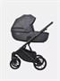 Коляска 2 в 1 Riko Basic Montana Ecco 24 Graphite 1991291795