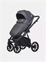 Коляска 2 в 1 Riko Basic Montana Ecco 24 Graphite 1991291795