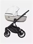 Коляска 2 в 1 Riko Basic Montana Ecco 32 White-Light Silver 812998886