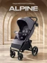 Коляска прогулочная Rant Basic Alpine 2026 Dark grey 1941460111