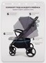 Коляска прогулочная Rant Basic Alpine 2026 Dark grey 1941460111