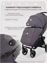 Коляска прогулочная Rant Basic Alpine 2026 Dark grey 1941460111