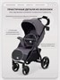 Коляска прогулочная Rant Basic Alpine 2026 Dark grey 1941460111